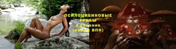 хмурый Надым