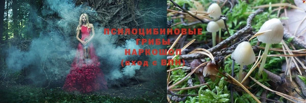 крисы Навашино