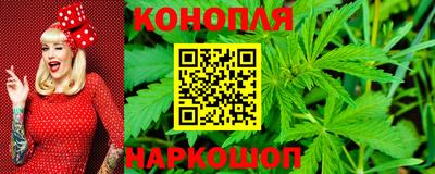 гидра Беслан