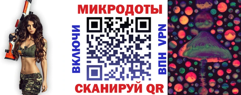 как найти закладки  Шахты  Галлюциногенные грибы Psilocybe 