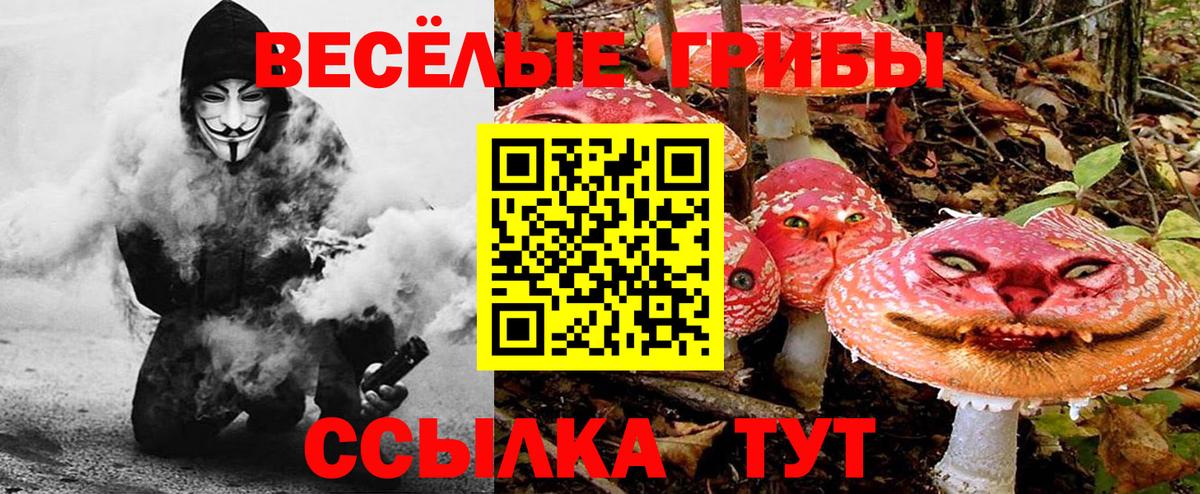 Псилоцибиновые грибы ЛСД Шахты