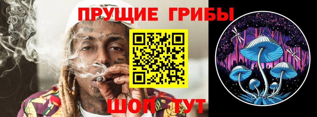 Псилоцибиновые грибы GOLDEN TEACHER  Вход с VPN  Псилоцибиновые грибы Psilocybine cubensis  Шахты 