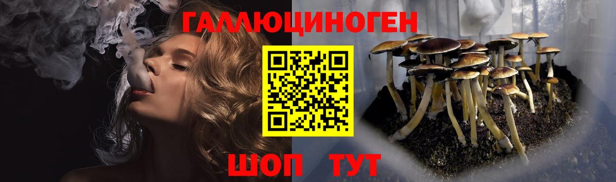 Галлюциногенные грибы Magic Shrooms  Галлюциногенные грибы GOLDEN TEACHER  Шахты 