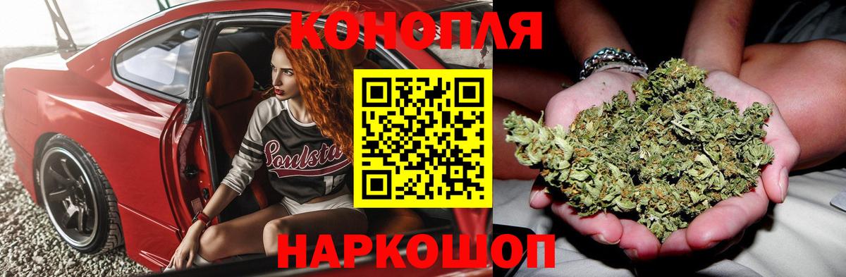 Бошки Шишки White Widow  Бошки марихуана план  Шахты  МАРИХУАНА планчик 